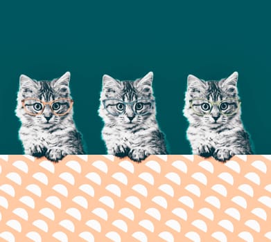 Contemporary art collage. Cat in stylish vintage sunglasses. Minimal fun art
