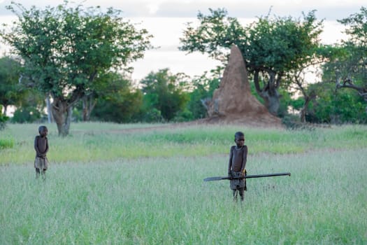 NAMIBIA, OMUSATI REGION, MAY 7: The Himba boys in early cold morning in grassland. The Himba are african indigenous namibian ethnic people, in northern Namibia, May 6, 2018, Namibia Africa