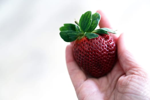 a Harmonic set of fresh strawberries