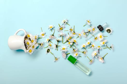 Creative flat lay on pastel blue background. Daisy flowers and perfume container. From above. Concept of cosmetic industry. Copy space for your text.