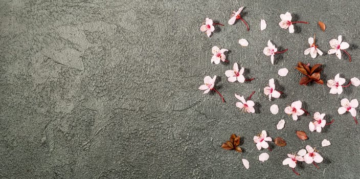 Creative flowers composition. Light pink flowers on black background. Wedding. Birthday. Valentines Day. Mother's day. Flat lay, top view, copy space.