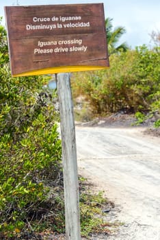 Iguana Crossing sign on Isabela Island in the Galapagos Islands in Ecuador