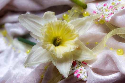 Spring can