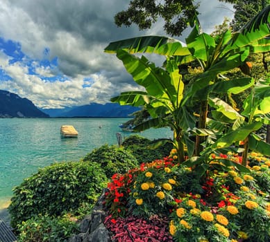 Geneva or Leman lake by spring, Switzerland