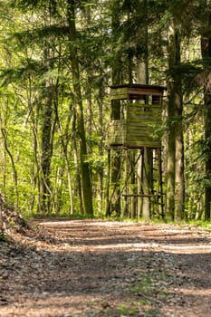 Wooden Huntsman high seat at the edge of the forest with green background