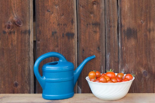 Gardening fresh and juicy vegetables from farming agriculture. Organic nature solanum bio tomato food on wooden copyspace background.