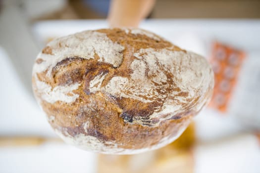 Female hand holding loaf of bread above blurry ingredients on table. Hand holding sourdough bread from above. Healthy meal preparation