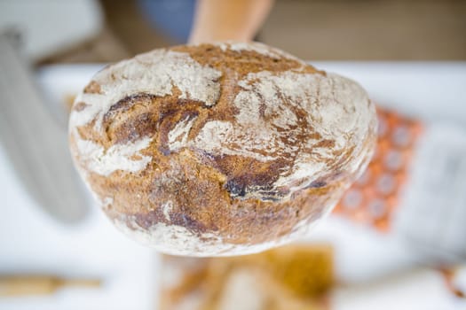 Female hand holding loaf of bread above blurry ingredients on table. Woman holding sourdough bread from above. Healthy meal preparation