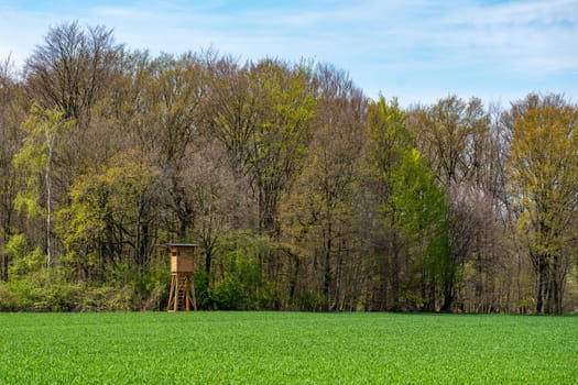 Hunter house in forest. Wooden Hunting Lodge