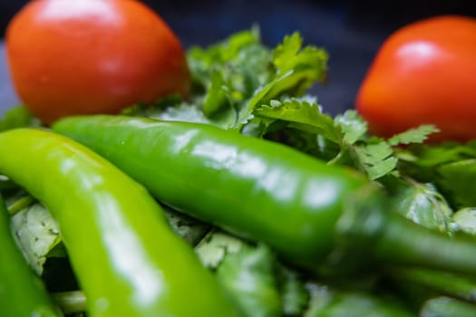 Close-up of two green chili peppers and two tomatoes above coriander. Fresh and spicy green and red vegetables on edible herb. Healthy meal preparation