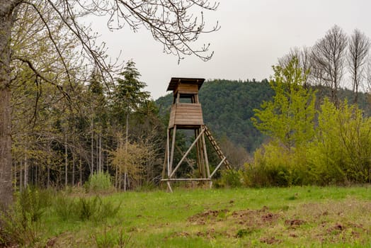 Wooden Huntsman high seat at the edge of the forest in front of a meadow with light background