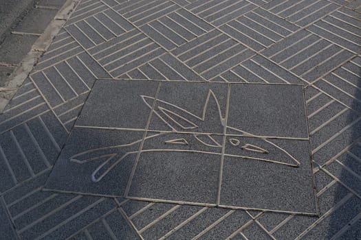 Stone slab on a sidewalk with a picture of a dolphin