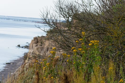Steep coast on the Baltic Sea near Ahrenshoop