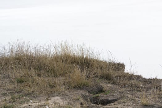 Steep coast on the Baltic Sea near Ahrenshoop