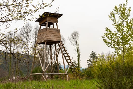 Wooden Huntsman high seat at the edge of the forest in front of a meadow with light background