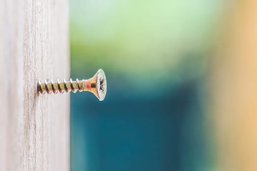 Macro closeup of screw in timber, outdoors