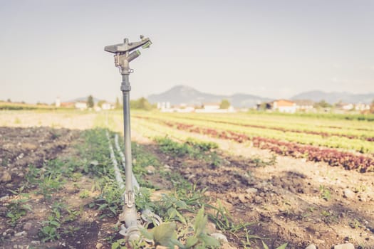 Irrigation plant on an agriculture field, summer day, soil