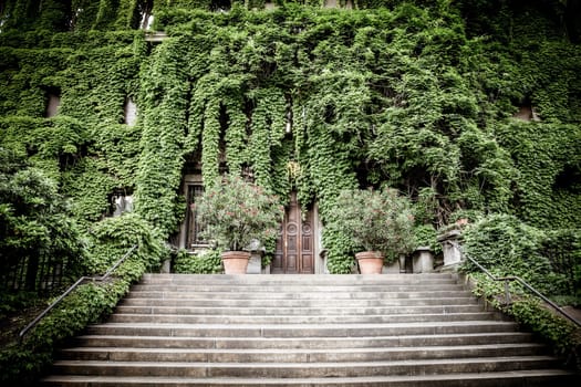 MILAN, ITALY - CIRCA AUGUST 2020 - Integration of nature and real estate on this old Italian building