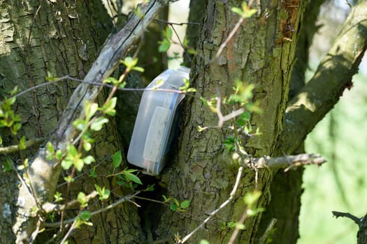 found geocaching hiding place with a cache in a box in a tree in the Herrenkrugpark near Magdeburg in Germany