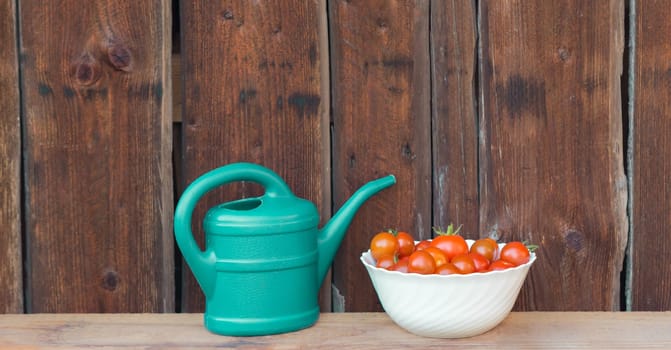 Gardening fresh and juicy vegetables from farming agriculture. Organic nature solanum bio tomato food on wooden copyspace panorama.
