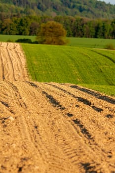 Idyllic rural view of beautiful farmland in the beautiful surroundings of the Iron Mountains, Czech Republic
