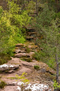 Hiking trail in Germany over a mountain with rocks trees and bushes