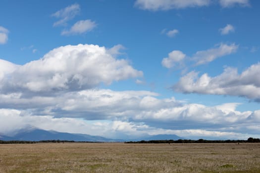 Beautiful clouds over a lonely meadow