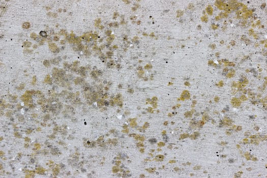 A flat grey concrete surface. The surface is textured and has some spots of yellow lichen.