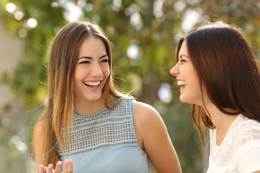 Happy women talking and laughing in a park with a green background