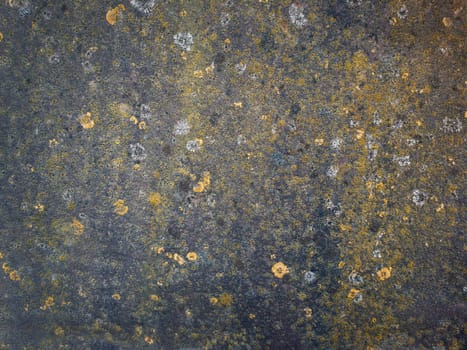Rusty and rotten metallic structure surface. Old grungy, weathered tin sheet with growing moss and fungi. Abstract details of construction element. Dirty texture background with yellow and blue colors