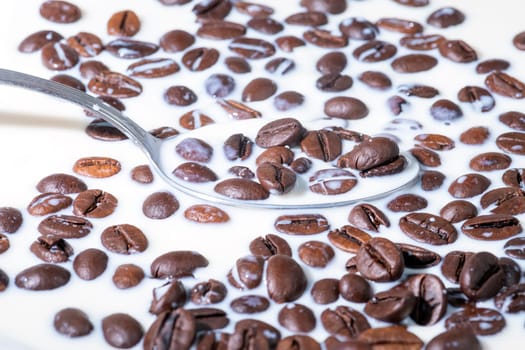 Coffee beans falling on the milk splash. Cup of milk. Concept photography.