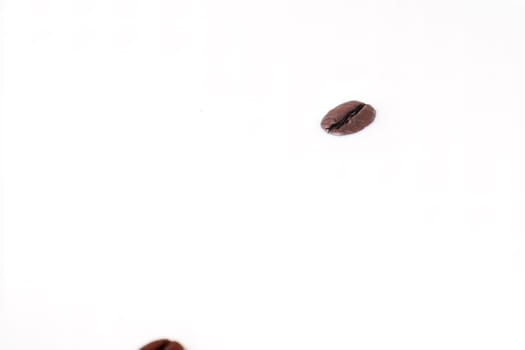 Coffee beans falling on the milk splash. Cup of milk. Concept photography.