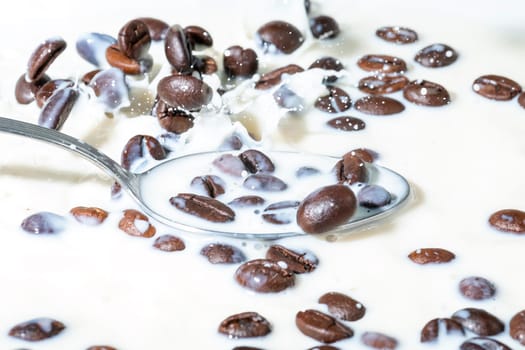 Coffee beans falling on the milk splash. Cup of milk. Concept photography.