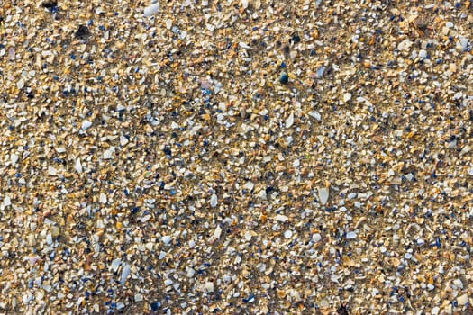 An abstract background natural texture of sand and sea shell fragments on Margate beach.