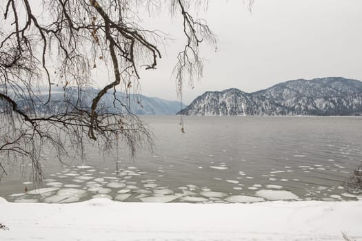unfrozen Lake Teletskoye in winter. Russia Altai Krai.