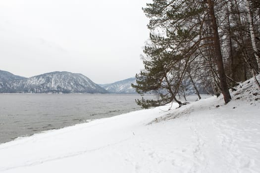 unfrozen Lake Teletskoye in winter. Russia Altai Krai.