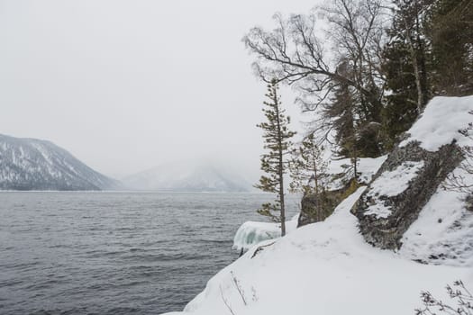 unfrozen Lake Teletskoye in winter. Russia Altai Krai.