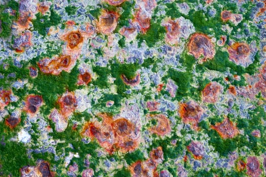 Green seaweed grows in patches on a metal plate. The metal has spots of rust all over it