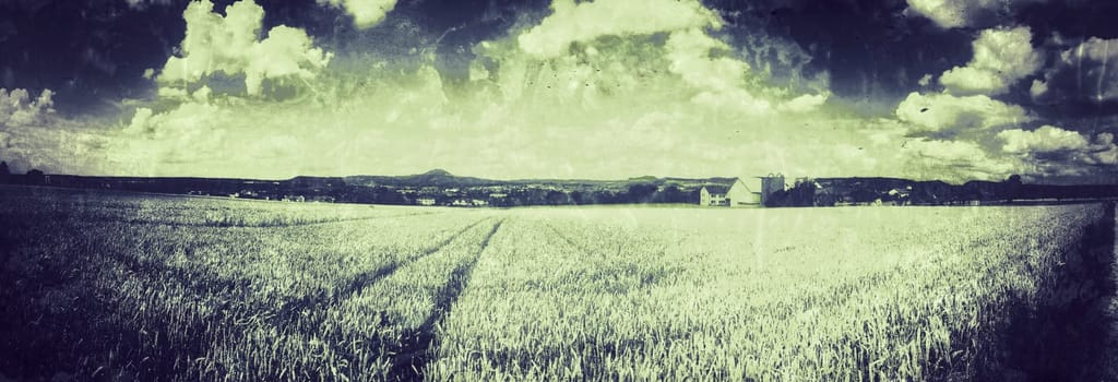 field of rye in retro style