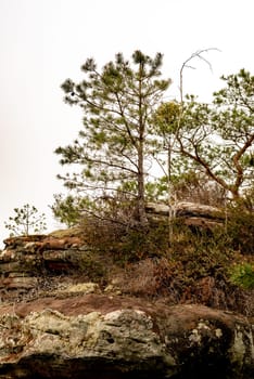 Hiking trail in Germany over a mountain with rocks trees and bushes isolated on white
