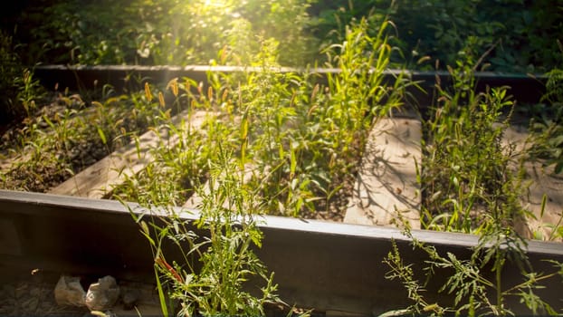 Closeup image of old abandoned railroad overgrown with grass