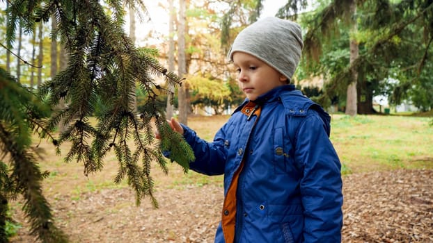 Portrait of sad little boy standing in the pine tree forest.