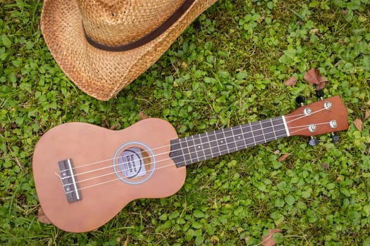 Ukulele and straw hat lying in the green grass, blurry park area in the background