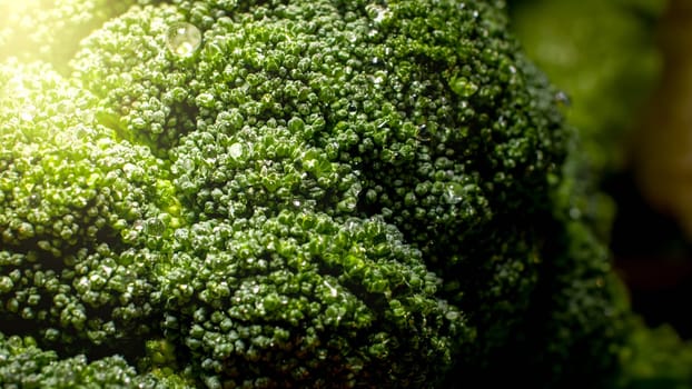 Closeup photo of water droplets falling from washed fresh broccoli.