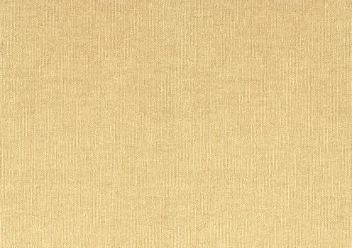 canvas pure hellocker highres
