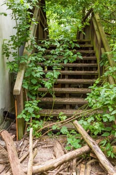 Overgrown by plants ailing stairs with railings