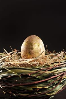 Golden egg in the nest on old wooden boards against a dark background