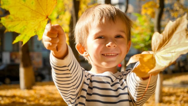 Closeup portrait of happy smiling toddler boy with yellow autumn leaves at park.