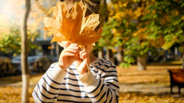 Portrait of cute little toddler boy holding yellow autumn leaf at face in park