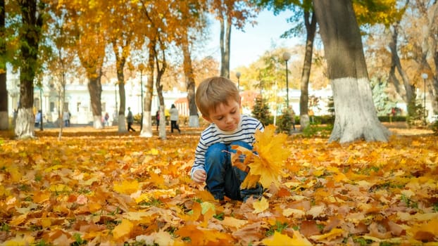 Adorable toddler boy collecting and picking fallen tree leaves in autumn park.